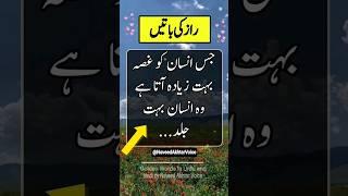 Hazrat Ali best Quotes | Golden Words #viral #newvideo #urduquotes #1millionviews #amazingquotes