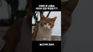 구례 소품샵의 귀여운 주인님들을 소개합니다