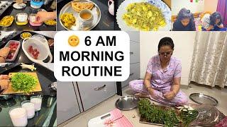 6 AM MORNING ROUTINE, Kid's School LunchBox, Breakfast, AfterSchool Meal | Indian Moms Busy Mornings