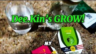 Hood N grow method! (Cannabis)