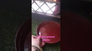 140 Rupees me 10 plates for bottom planter  plates very useful  in garden##trending #viral#ytshorts