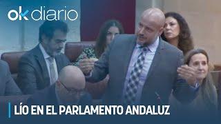 Lío en el Parlamento andaluz por llamar Vox "criminal" al Gobierno de Pedro Sánchez