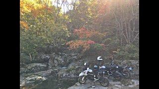 Honda Grom/MSX125 - hill climb at the south korea in gyeong-ju san-nae haeinsa forest road up hill.