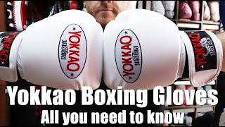 Yokkao Boxing Globes Review | All you need to know | Enso Martial Arts Shop