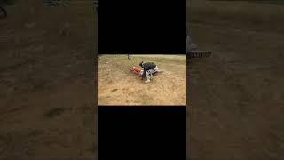 Frontflip Honda Crf 450 #shorts