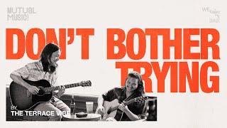 Don't Bother Trying - The Terrace Vibe (Official Music Video)