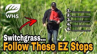 How EZ Switchgrass Plantings Are For Wildlife