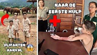 MIDDEN TUSSEN WILDE OLIFANTEN & HET GAAT MIS HIER IN THAILAND | #985