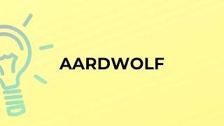 What is the meaning of the word AARDWOLF?