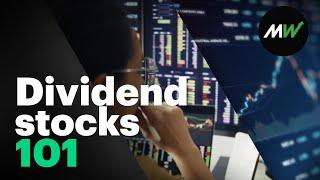 How dividend stocks work - and why investors might want to buy in | Explainomics