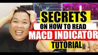 BEST MACD Trading Strategy [87% Win Rate]