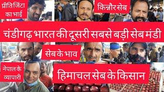 #Chandigarh पंचकूला भारत की दूसरी सबसे बड़ी सेब मंडी में   सेब के ताजा भाव Chandigarh Apple Market