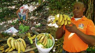 Asi es la vida de Martina a sus 76 años en este campo de Republica Dominicana