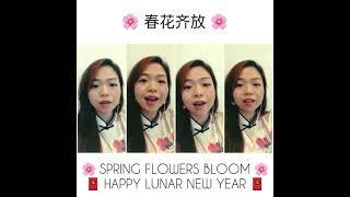 春花齐放 (chūn huā qí fàng) Spring Flowers Bloom - Chinese New Year Song