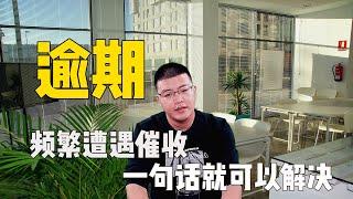 停息挂账 | 逾期频繁遭遇催收，如何处理最容易？简单到仅仅需要一句话