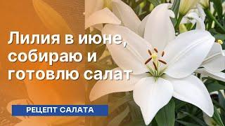 Белая лилия в июне, собираю и готовлю салат (рецепт салата)