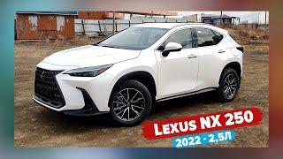 Космический Lexus NX 250 2022 2.5л | Новый кроссовер премиум класса Лексус NX 250