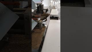 Vitap Blitz 3.0 drilling, dowels and glue inserting machine