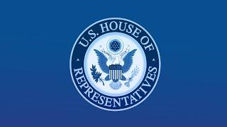 Virtual Town Hall with Rep. Wasserman Schultz and Mike Linden