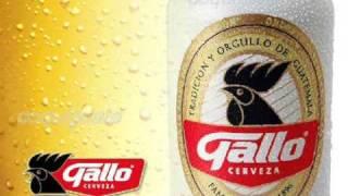 GALLO TU CERVEZA ORGULLO NACIONAL.-COQUIGUATE..