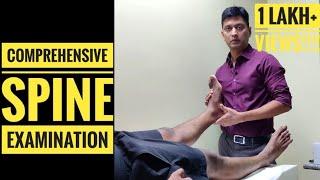 Comprehensive Spine Examination