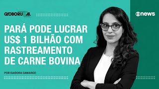 Rastreabilidade de carne bovina pode gerar US$ 1 bi no Pará | Globo Rural