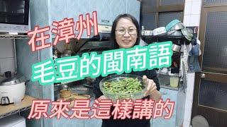 毛豆在漳州用閩南語怎麼講？小時候摘毛豆摘到嚇到，真正有夠恐怖耶！