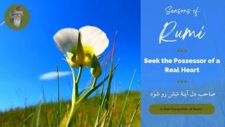 Rumi - Seek the Possessor of a Real Heart - (In Persian and English)