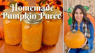 HOW TO MAKE HOMEMADE PUMPKIN PUREE: Easy Pumpkin Purée from Scratch/Sugar Pie & Carving Variety