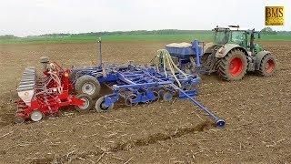 Maisaussaat Fendt 927 Vario 6,5m Köckerling Drillkombination Lohnunternehmen big seed combination