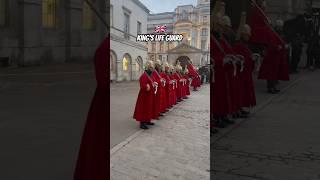 #kingslifeguard #householdcavalry #horseguards #horseguardsparade #london #londonlife