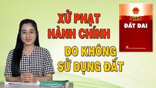 Bỏ đất hoang không sử dụng liên tục sẽ bị phạt hành chính