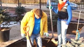 Дневник ландшафтного архитектора. Наполнение летней кухни