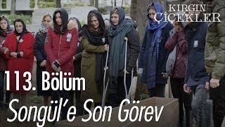 Songül'e son görev - Kırgın Çiçekler 113. Bölüm | Final