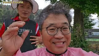 본격적으로 마늘을 수확합니다. 이렇게 하면 마늘이 재배비용이 많이 드는데 걱정입니다.
