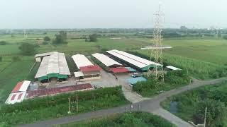 Girdhara dairy farm Surat Gujarat