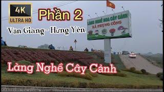Làng Nghề Cây Cảnh Xã Phụng Công | Hưng Yên | Nhộn Nhịp Vào Xuân 2022 | P 2