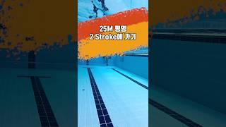 25m 평영 2stroke만에 가기 #swimming #swim ##평영 #수영 #breaststroke