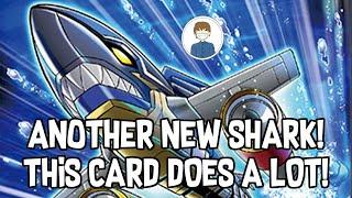 ANOTHER NEW SHARK! THIS CARD DOES A LOT! Yu-Gi-Oh!