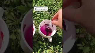 Making red, orange and pink natural paint in the garden #hanselah #naturalpaint #cottagecore