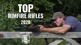 Best rimfires and rimfire ammunition 2020