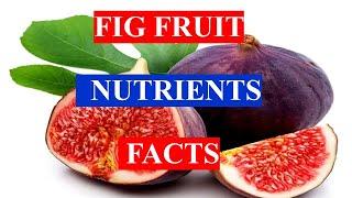 FIG FRUIT HEALTH BENEFITS AND NUTRIENTS FACTS