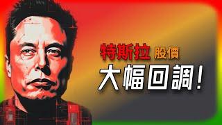 【Tesla每日快訊】 馬斯克惹禍？特斯拉股價跳水，特斯拉投資人該繼續堅守嗎？美國關稅/DOGE/直銷禁令（2025/2/12-1）