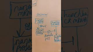 Role of Nanos mRNA and Oskar gene