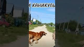 а как вы проводите каникулы