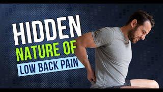 The Hidden Nature of Low Back Pain