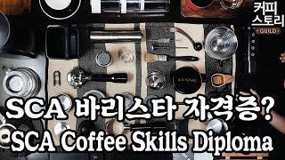 SCAA SCAE 바리스타 자격증이란 뭘까?  sca barista SCA Coffee Skills Diploma - 커피스토리