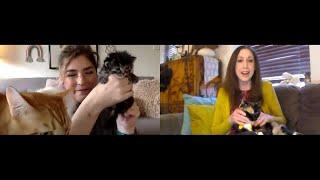 All For Animals TV #73: Coping With Separation Anxiety in Cats