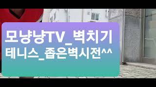 모냥냥TV_좁은 벽치기_묘기수준^^