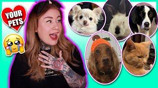 Pet Enthusiast Reacts To: Subscribers Pets 1